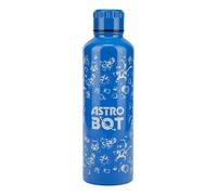 Astro Bot Metal Water Bottle, 500ml (16oz) Stainless Steel Bottle with Screw-Top