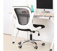 ASumPio Chaise De Bureau À Dossier Réglable en Hauteur Chaise De Bureau Pied d'arc Coussin en Maille Siège Ergonomique Dossier Bas Chaise D'Ordinateur Chaise d'apprentissage Dome,White-Free Size