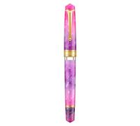 Asvine Stylo plume P20 violet gradué à piston, pointe fine iridium, bordure dorée, collection Writer avec étui