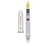 Asvine V800 Stylo Plume - Système de Remplissage sous Vide avec Grande Capacité d'Encre - Plume Fine Numéro 8 Lisse avec Étui Cadeau et crylique Or Transparent