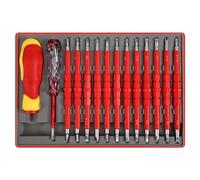 Asyduey de Tournevis D'Électricien Isolé 26 Pièces 1000V Ensemble de Tournevis Électrique Professionnel Outils Accessoire pour Homme avec Étui