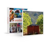 Atelier Initiation Et Dégustation Vin Biologique Dans Un Domaine Viticole - Smartbox - Coffret Cadeau Gastronomie