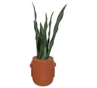 Atmosphera 196696 plante artificielle