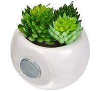 Atmosphera 83204 Mini Plantes décoratives avec Aimant - modèle et couleur aléatoires 6 cm 20