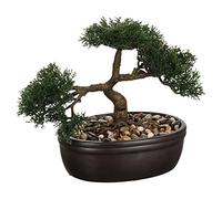 Atmosphera Bonsaï Artificiel en Pot en céramique H23 - Instinct Naturel