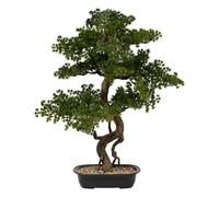 Bonsaï artificiel ""Polin"" pot en céramique H86cm - Atmosphera Créateur d'intérieur