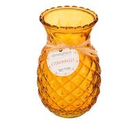 Atmosphera - Bougie parfumée 600g Fruity citronnelle - Jaune