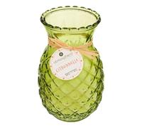 Atmosphera - Bougie parfumée 600g Fruity citronnelle - Vert