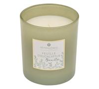 Atmosphera – Bougie parfumée Mael – Eucalyptus – 190 g