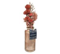 Atmosphera - Bouquet de Fleurs séchées en Vase Wonder - Blush