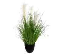 Atmosphera Bunch Herbe - Vert