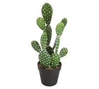 Atmosphera - Cactus Artificiel H42 cm - Modèle 1