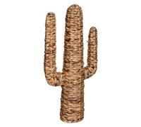Atmosphera Cactus Haci - Grand Modèle