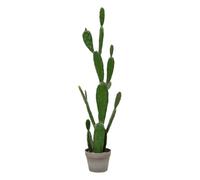 Atmosphera - Cactus Pot pl yuca h109