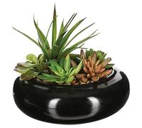 Atmosphera - Composition des Plantes arificielles - Vase en céramique - H6 cm