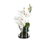 Atmosphera - Composition d'orchidées artificielles - Vase en Verre - H37 cm - Blanc