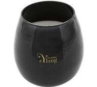 Bougie Parfumée Arlo 400g Ylang