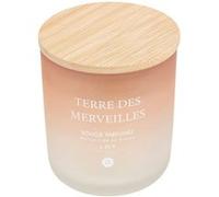 Bougie Parfumée en Verre Sana 255g Terre des Merveilles