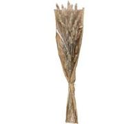 Atmosphera Créateur d'intérieur - Bouquet de Fleurs "Queue de Lapin" 58cm Ivoire G