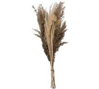 Atmosphera - Bouquet de pampas séchées Ori - blanc ivoire - H58 cm