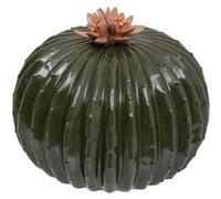 Atmosphera - Cactus déco céramique h15cm Vert de Gris