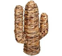 Cactus ""Haci"" jacinthe d eau H35cm - Atmosphera createur d'interieur - Beige moyen
