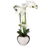 Atmosphera - Orchidée artificielle - Vase céramique argent - H 53 cm