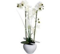 Orchidée artificielle vase céramique blanc H53cm - Atmosphera Créateur d'intérieur