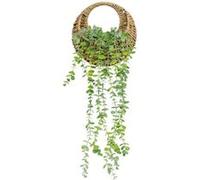 Plante artificielle suspendue Zea H70cm - Atmosphera Créateur d'intérieur