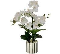 Fleur Artificielle Asia Orchidée H81 cm Pot en Grès Vert - Atmosphera Créateur d'intérieur