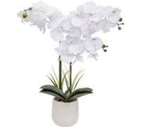 Atmosphera Orchidée artificielle Riva H60cm en pot blanc