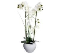 ATMOSPHERA CREATEUR D'INTERIEUR Orchidée et Vase en céramique - 50 x 28 x 53 cm - Blanc