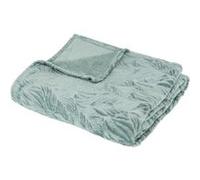 Plaid Déco Flanelle Ryo 180x230cm Bleu Givre