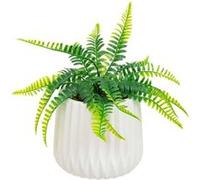 Plante Artificielle en Pot Fougère 33cm Blanc