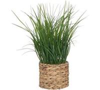Atmosphera – Plante artificielle en pot – Jacinthe d’eau H70 cm – Beige