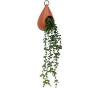 Atmosphera Créateur d'intérieur - Plante Artificielle Suspendue "Be Vintage" 60cm Marron G