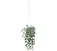 Atmosphera Plante artificielle suspendue «Lourmarin» pot ciment H80 cm