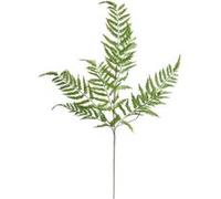 Tige Artificielle Fougère James 90cm Vert