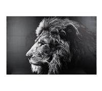 Atmosphera - Toile imprimée Lion 78x118 cm