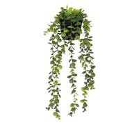 Atmosphera - Eucalyptus Artificiel en Pot Merly Vert H51cm - Vert foncé