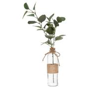 Atmosphera - Eucalyptus Artificiel - Vase Verre - H45 cm