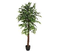 Atmosphera - Ficus Artificiel Benjamina Vert H180cm