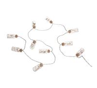 Atmosphera - Guirlande décorative à Pile 10 LED Bouteilles en Verre avec Fleurs séchées L165 cm