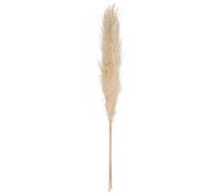Atmosphera - Lot de 3 Herbes de Pampa Séchées Naturelles - H 109 cm - pour Bouquet, Décoration d'Intérieur, Style Bohème