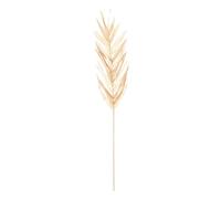 Atmosphera - Lot de 3 Tiges de Palmier Séché OVA - Beige, H 95 cm - pour Décoration Intérieure, Bouquet, Style Bohème