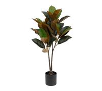 Atmosphera Créateur d'intérieur – Plante artificielle Agnolia H76 cm Vert