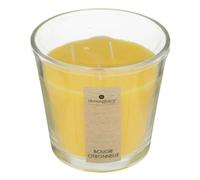 Atmosphera Nina Bougie à la citronnelle - 500 g