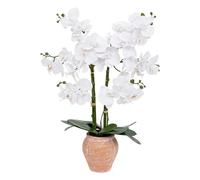 Atmosphera – Orchidée artificielle en pot Dena H65 cm rose terracotta