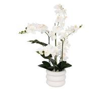 Atmosphera - Orchidée Artificielle en Pot Mick Pot en céramique Blanc h80cm