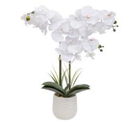 Atmosphera Orchidée artificielle Riva H60cm en pot blanc